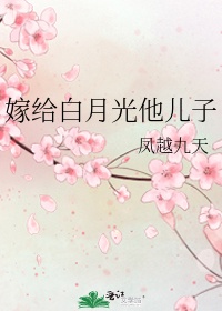 嫁给白月光他儿子
